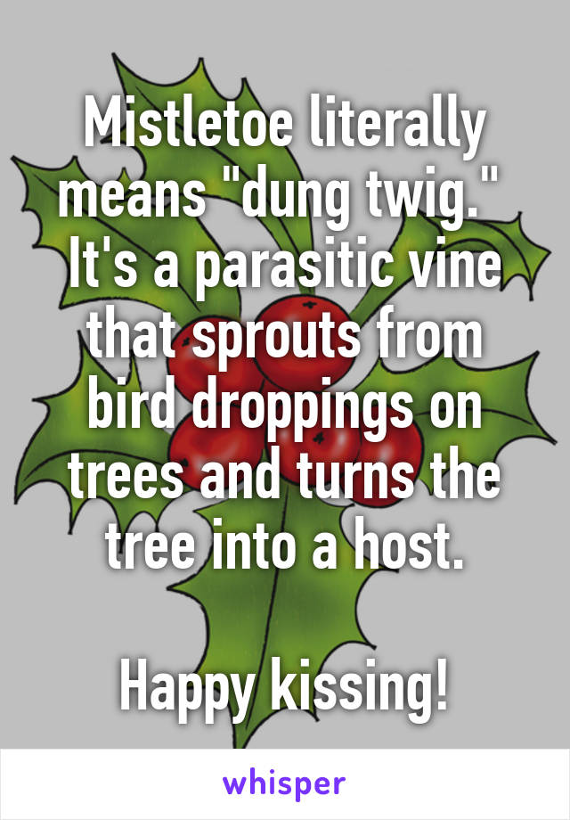 Mistletoe literally means "dung twig."  It's a parasitic vine that sprouts from bird droppings on trees and turns the tree into a host.

Happy kissing!