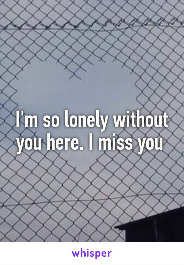 I'm so lonely without you here. I miss you 