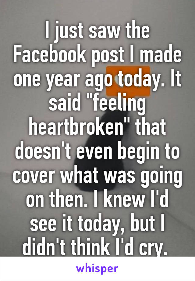 I just saw the Facebook post I made one year ago today. It said "feeling heartbroken" that doesn't even begin to cover what was going on then. I knew I'd see it today, but I didn't think I'd cry. 