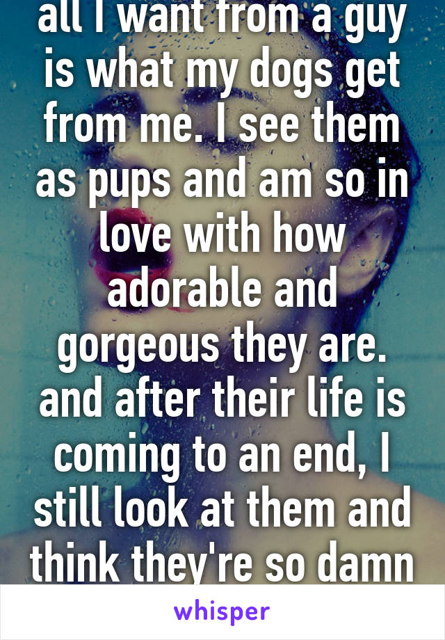 all I want from a guy is what my dogs get from me. I see them as pups and am so in love with how adorable and gorgeous they are. and after their life is coming to an end, I still look at them and think they're so damn adorable.