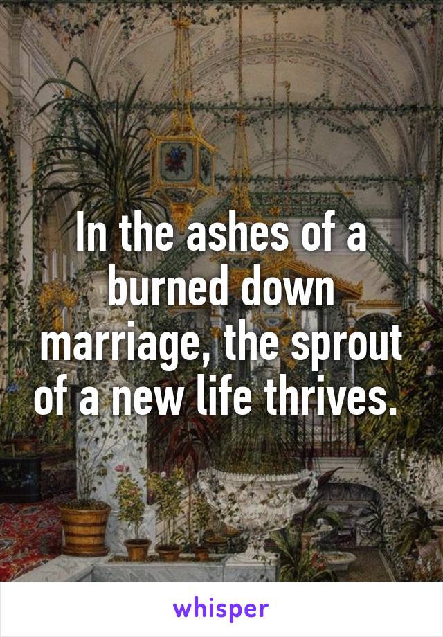 In the ashes of a burned down marriage, the sprout of a new life thrives. 