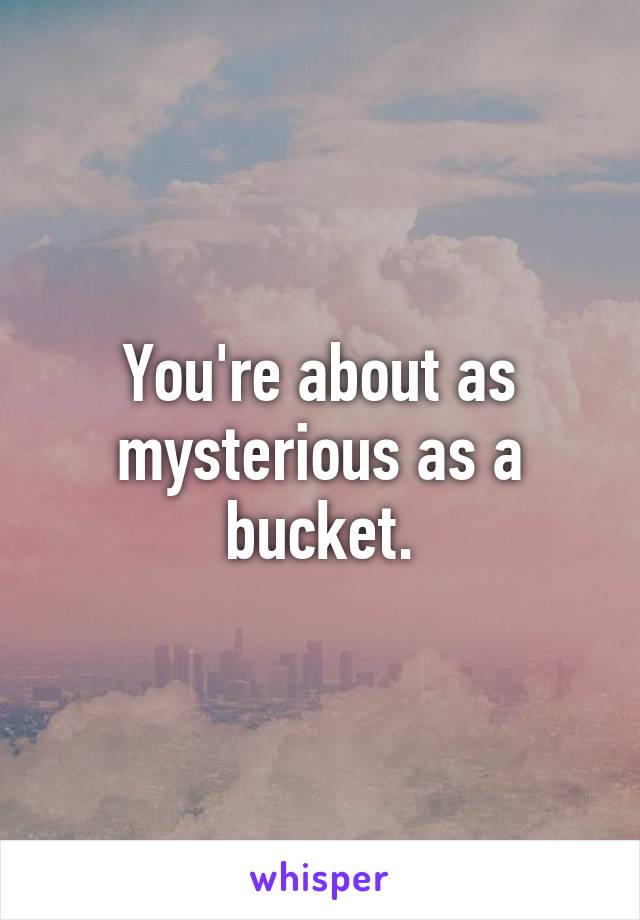 You're about as mysterious as a bucket.