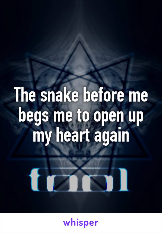 The snake before me begs me to open up my heart again