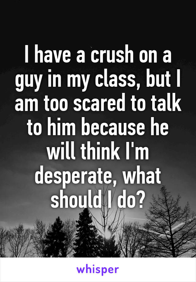 I have a crush on a guy in my class, but I am too scared to talk to him because he will think I'm desperate, what should I do?
