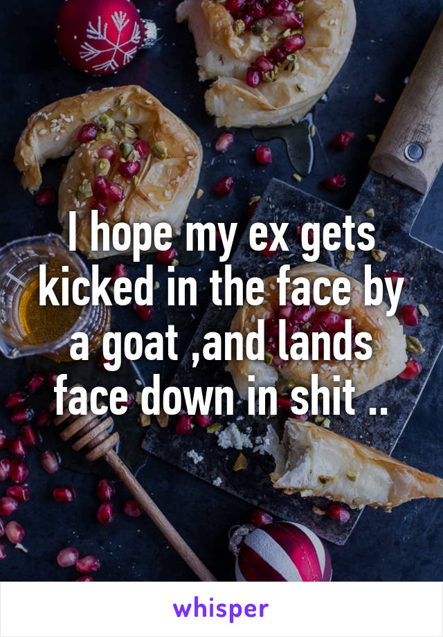 I hope my ex gets kicked in the face by a goat ,and lands face down in shit ..