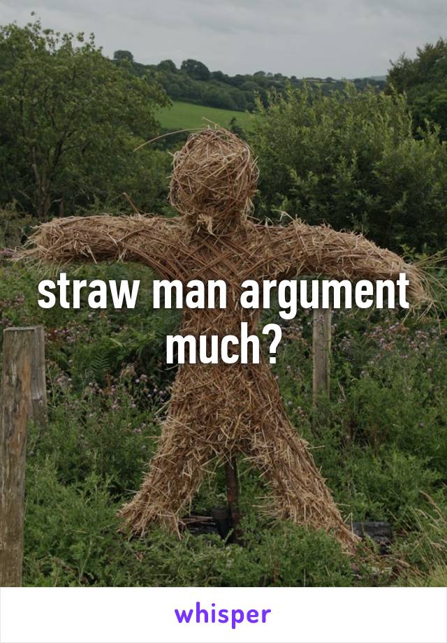 straw man argument much?