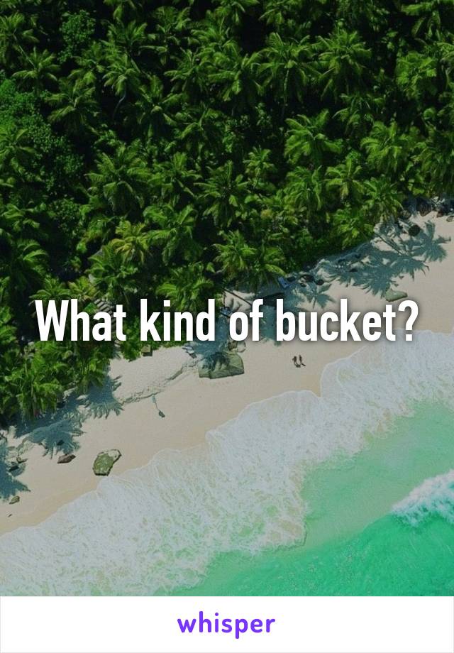 What kind of bucket?