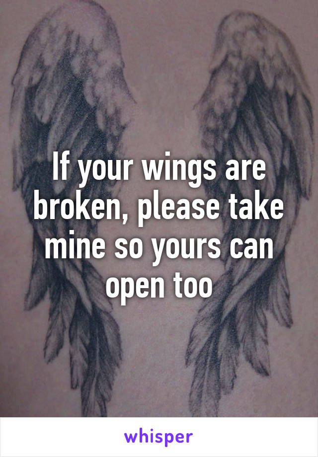 If your wings are broken, please take mine so yours can open too