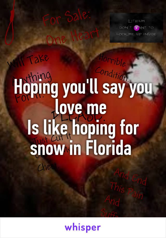 Hoping you'll say you love me 
Is like hoping for snow in Florida 