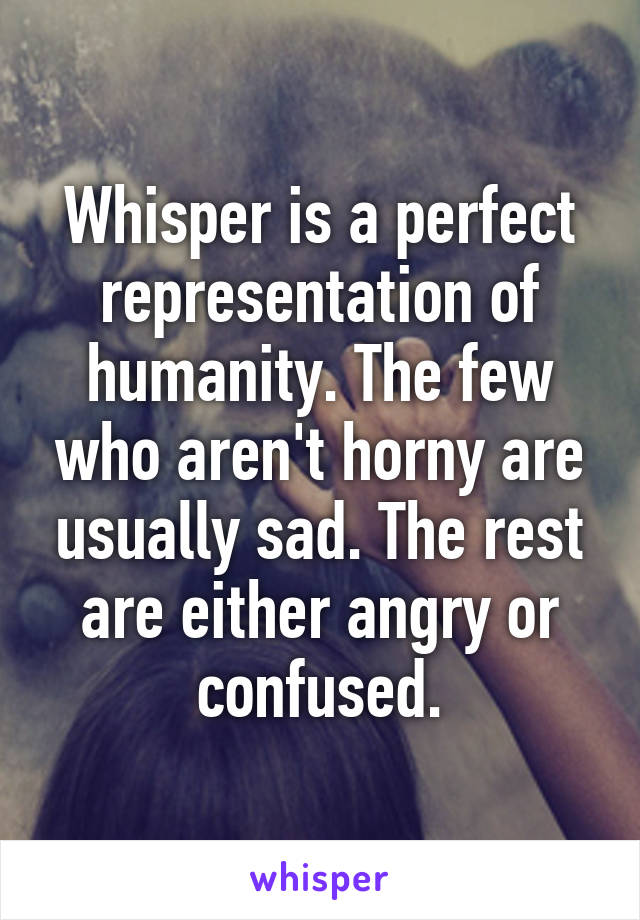 Whisper is a perfect representation of humanity. The few who aren't horny are usually sad. The rest are either angry or confused.