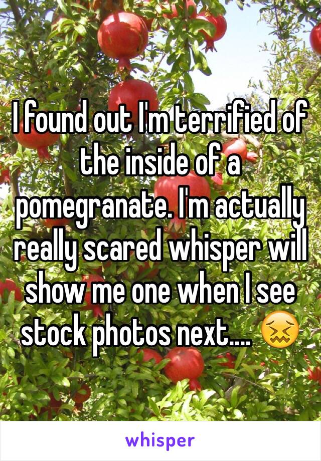 I found out I'm terrified of the inside of a pomegranate. I'm actually really scared whisper will show me one when I see stock photos next.... 😖