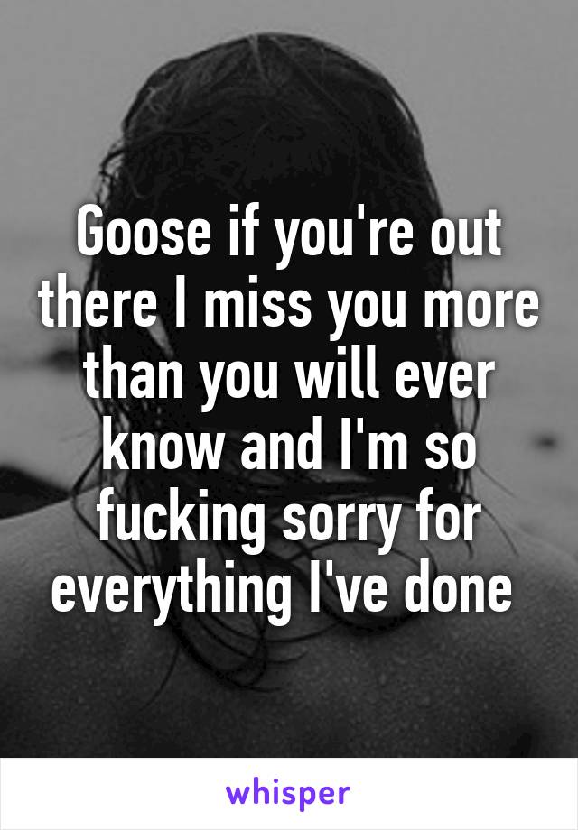 Goose if you're out there I miss you more than you will ever know and I'm so fucking sorry for everything I've done 