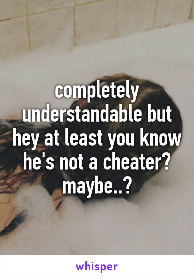 completely understandable but hey at least you know he's not a cheater? maybe..?