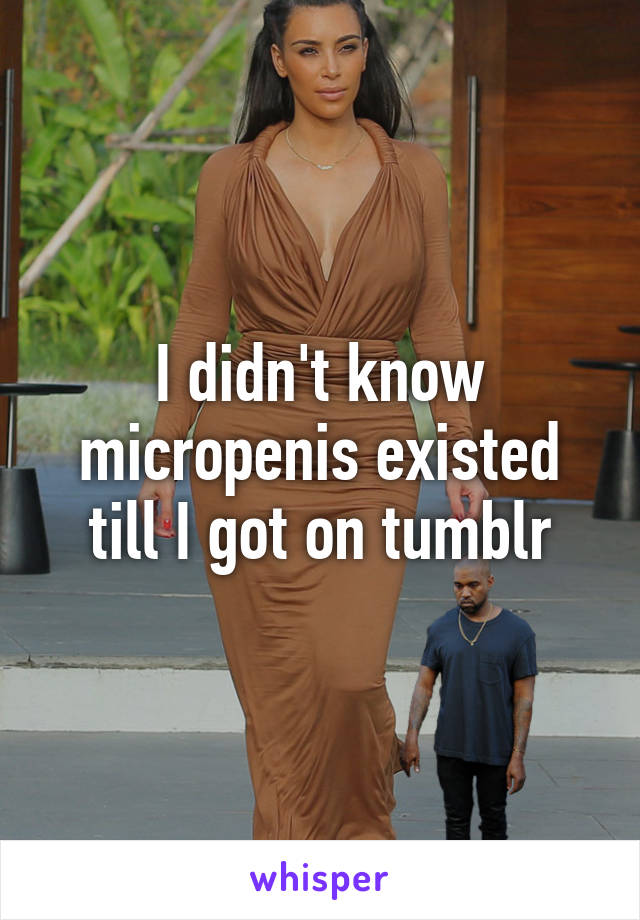 I didn't know micropenis existed till I got on tumblr