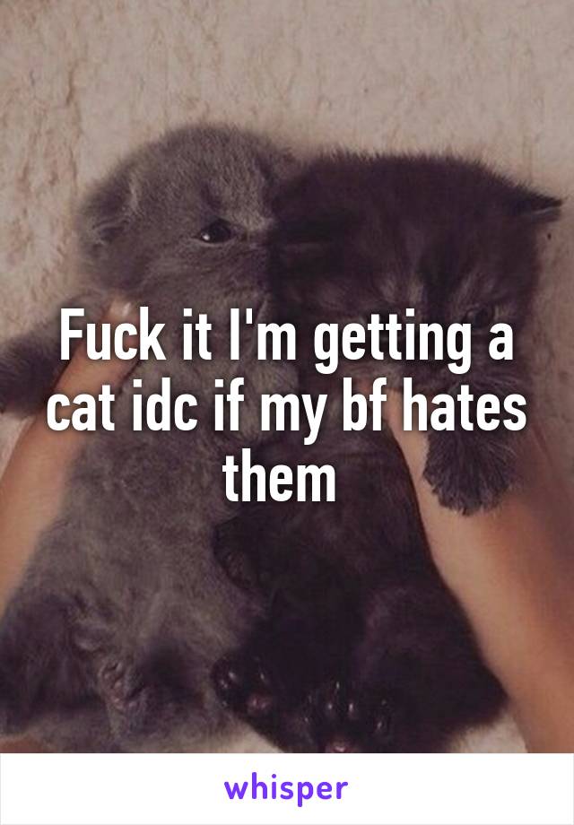 Fuck it I'm getting a cat idc if my bf hates them 