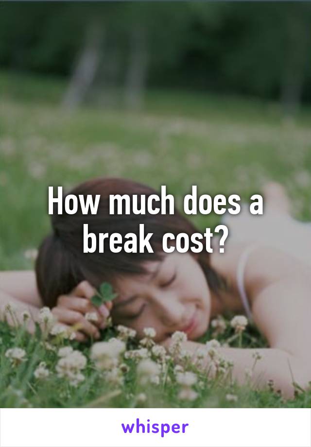 How much does a break cost?