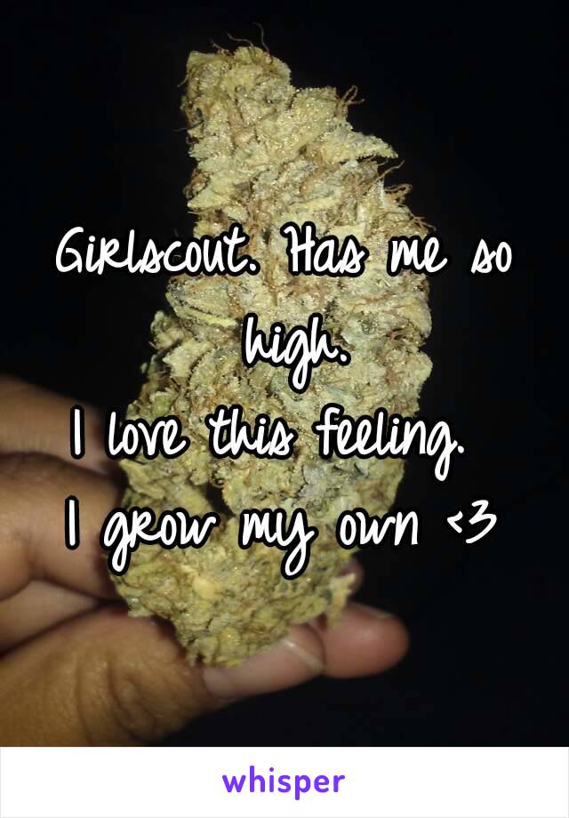 Girlscout. Has me so high.
I love this feeling. 
I grow my own <3