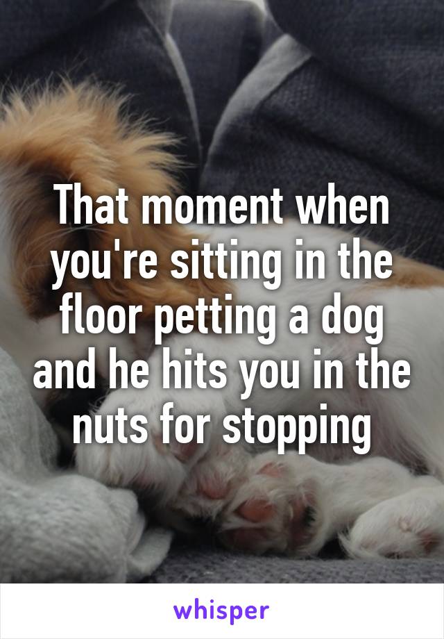 That moment when you're sitting in the floor petting a dog and he hits you in the nuts for stopping