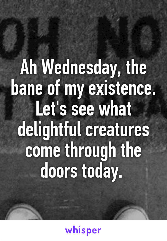 Ah Wednesday, the bane of my existence. Let's see what delightful creatures come through the doors today. 