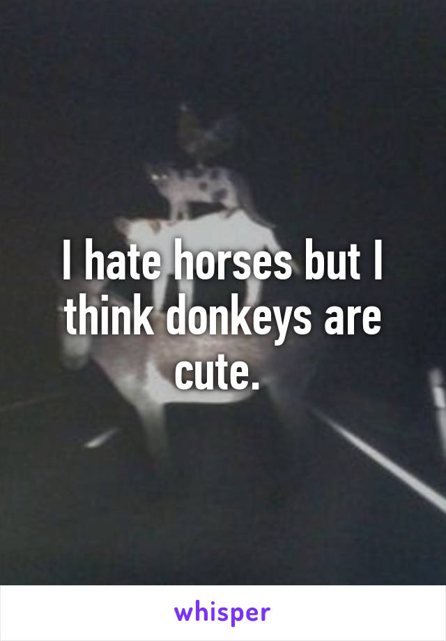 I hate horses but I think donkeys are cute. 