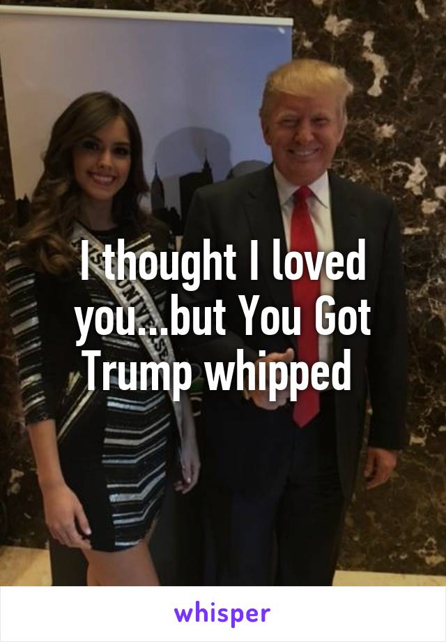 I thought I loved you...but You Got Trump whipped 