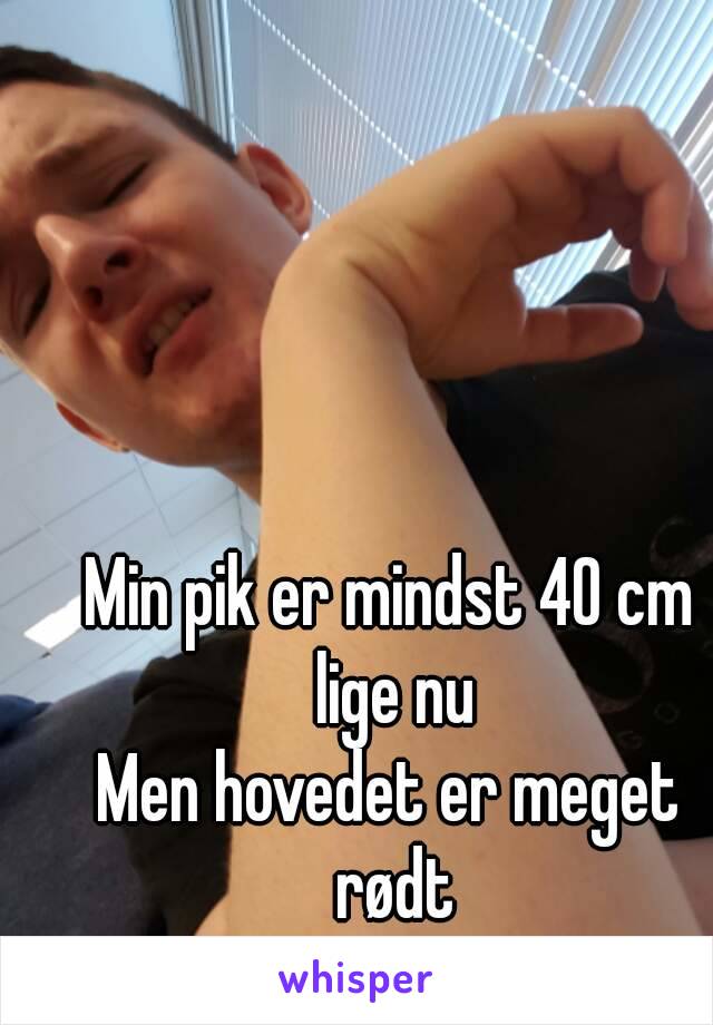 Min pik er mindst 40 cm lige nu
Men hovedet er meget rødt