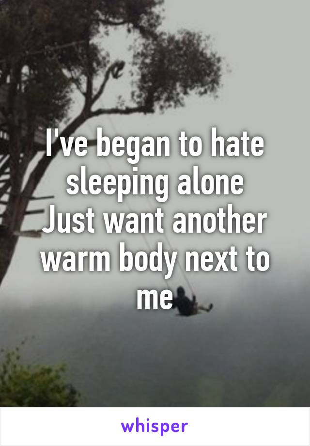 I've began to hate sleeping alone
Just want another warm body next to me