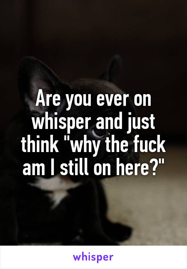 Are you ever on whisper and just think "why the fuck am I still on here?"