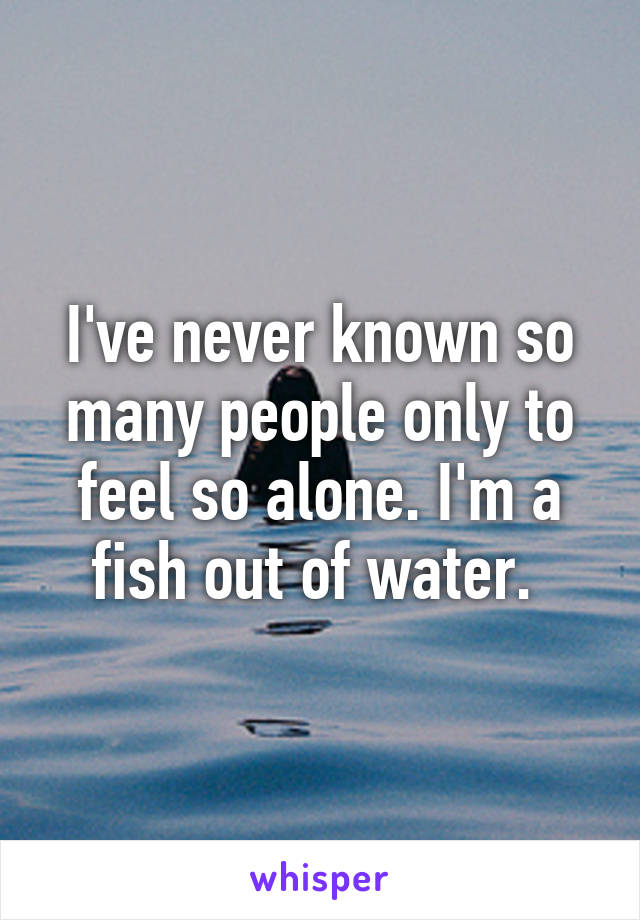 I've never known so many people only to feel so alone. I'm a fish out of water. 