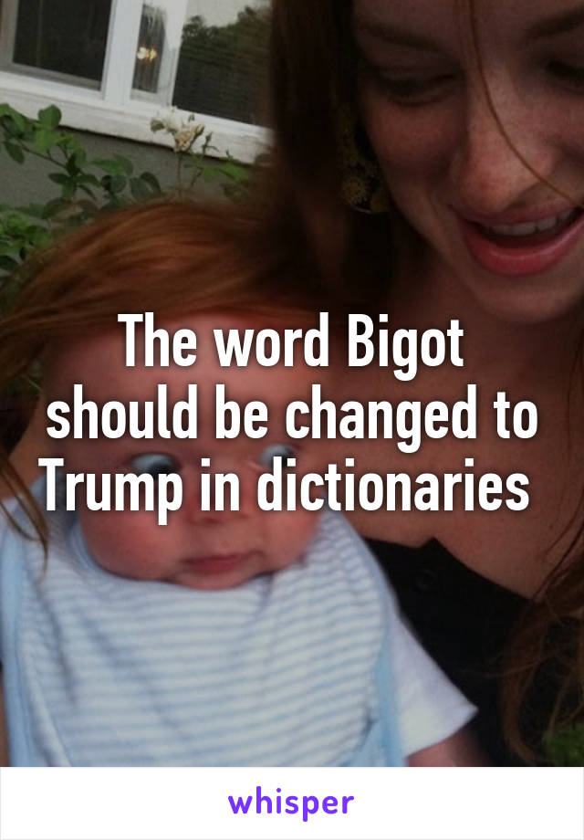 The word Bigot should be changed to Trump in dictionaries 