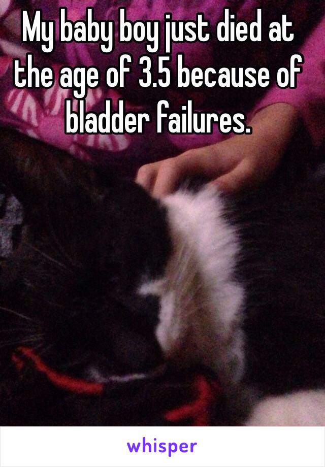 My baby boy just died at the age of 3.5 because of bladder failures.