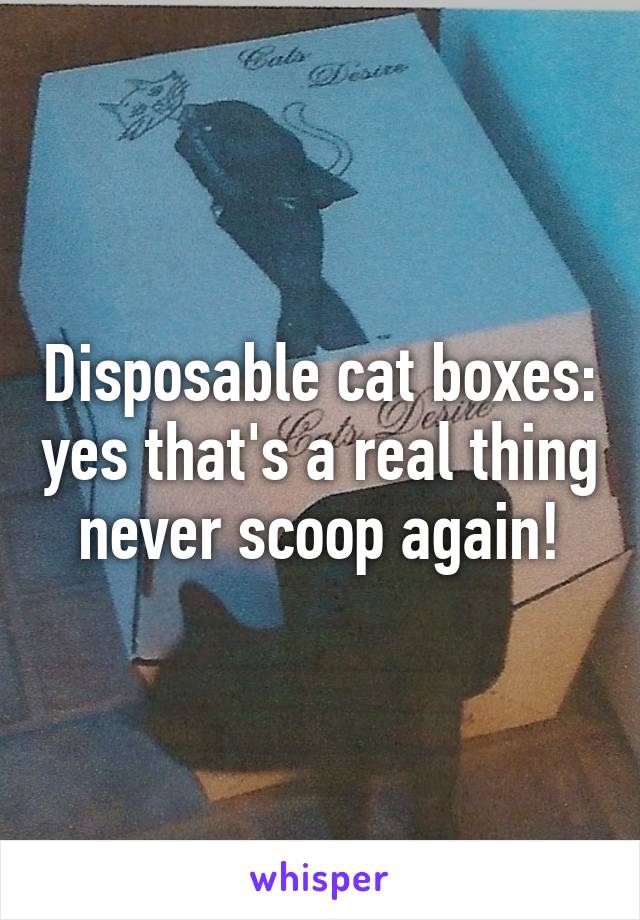 Disposable cat boxes: yes that's a real thing never scoop again!