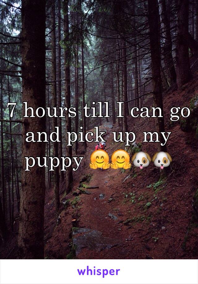 7 hours till I can go and pick up my puppy 🤗🤗🐶🐶