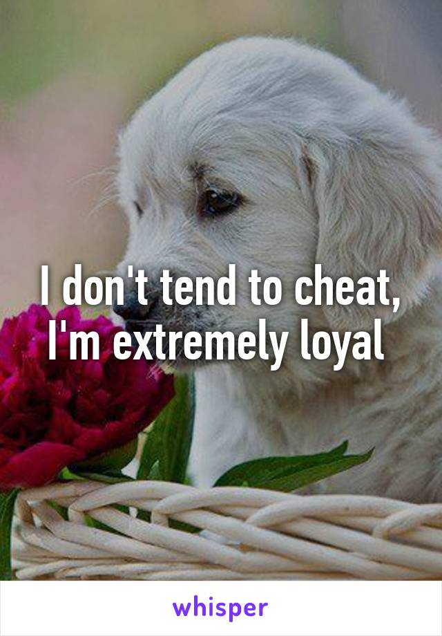 I don't tend to cheat, I'm extremely loyal 