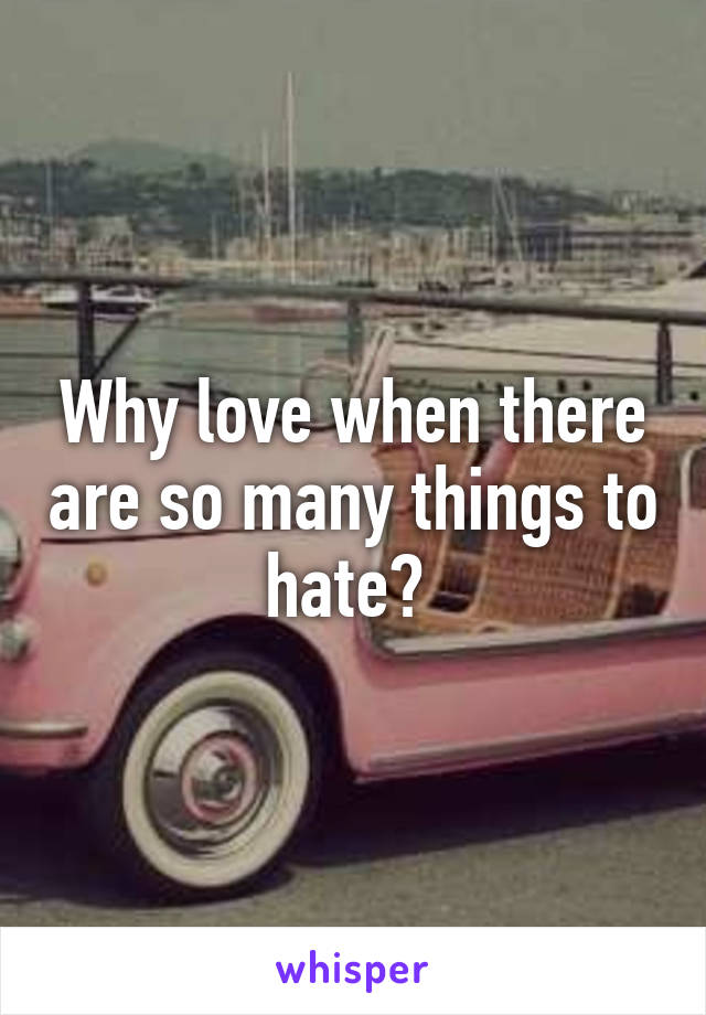 Why love when there are so many things to hate? 