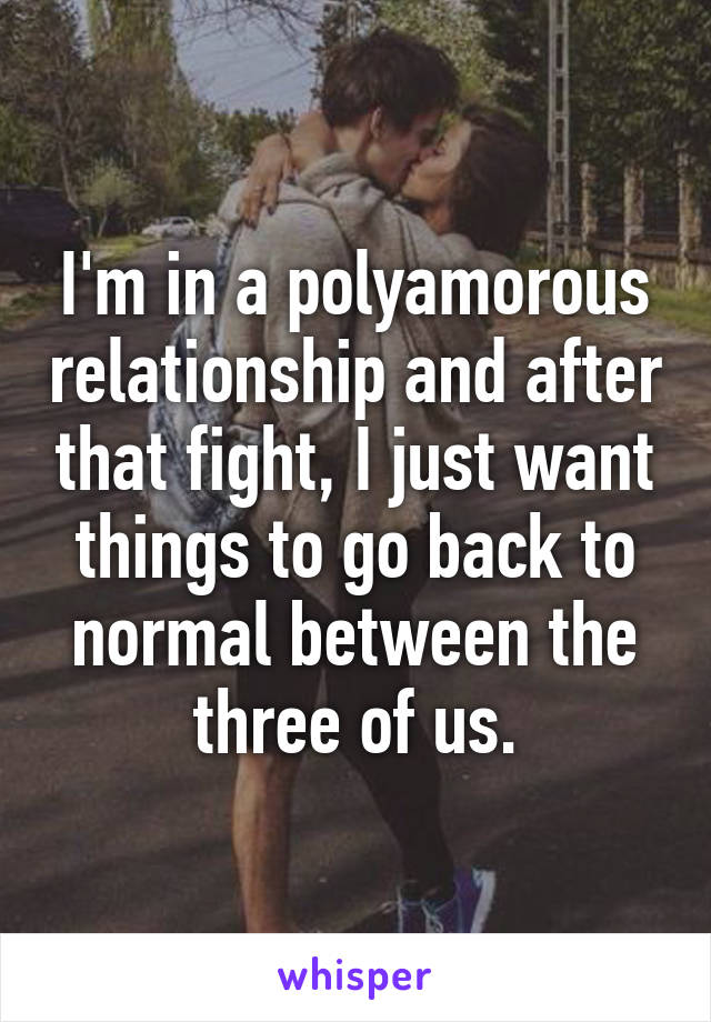 I'm in a polyamorous relationship and after that fight, I just want things to go back to normal between the three of us.