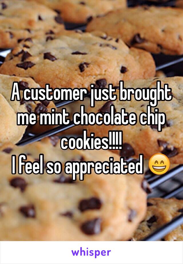 A customer just brought me mint chocolate chip cookies!!!!
I feel so appreciated 😄