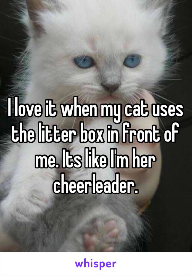 I love it when my cat uses the litter box in front of me. Its like I'm her cheerleader. 