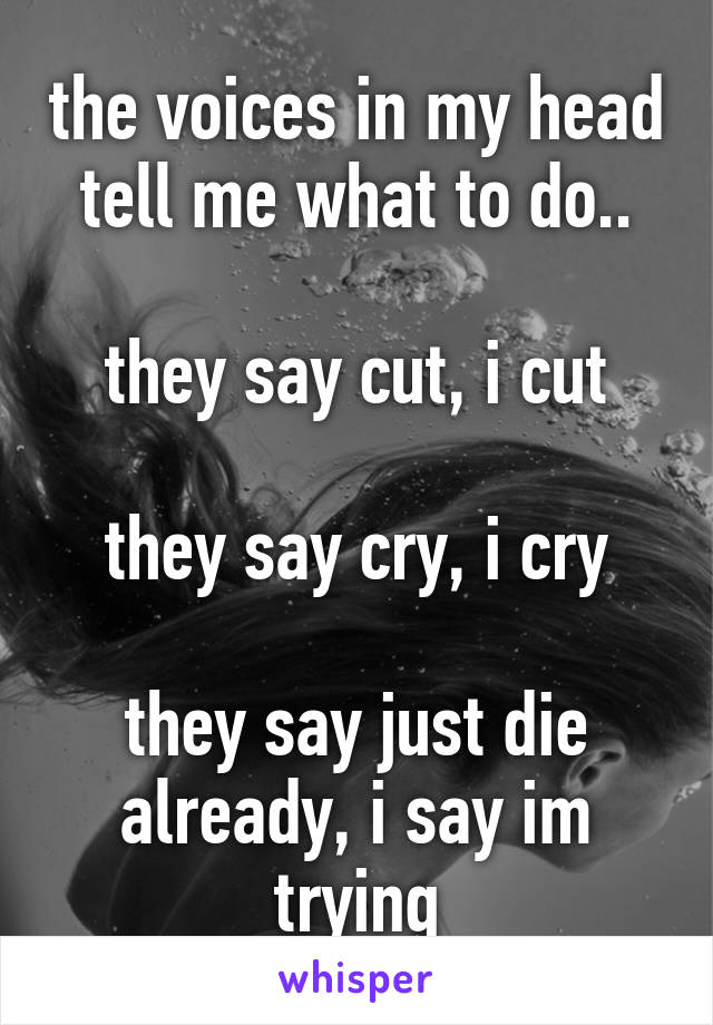 the voices in my head tell me what to do..

they say cut, i cut

they say cry, i cry

they say just die already, i say im trying