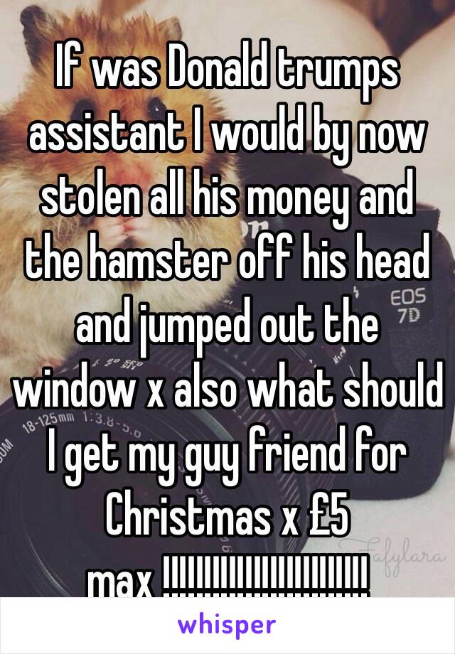 If was Donald trumps assistant I would by now stolen all his money and the hamster off his head and jumped out the window x also what should I get my guy friend for Christmas x £5 max !!!!!!!!!!!!!!!!!!!!!!!!!