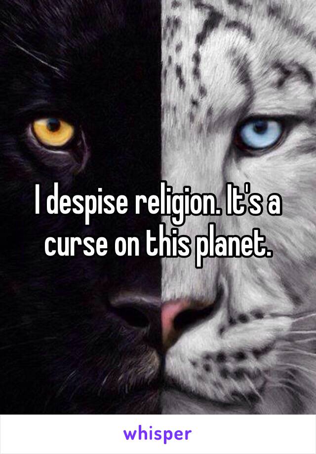 I despise religion. It's a curse on this planet.