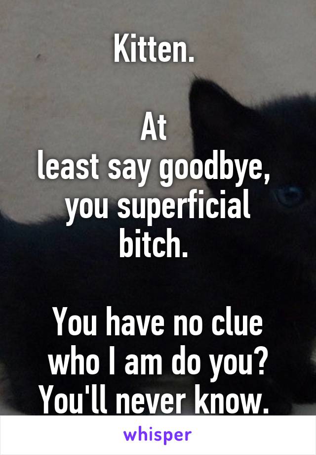 Kitten. 

At 
least say goodbye, 
you superficial bitch. 

You have no clue who I am do you? You'll never know. 