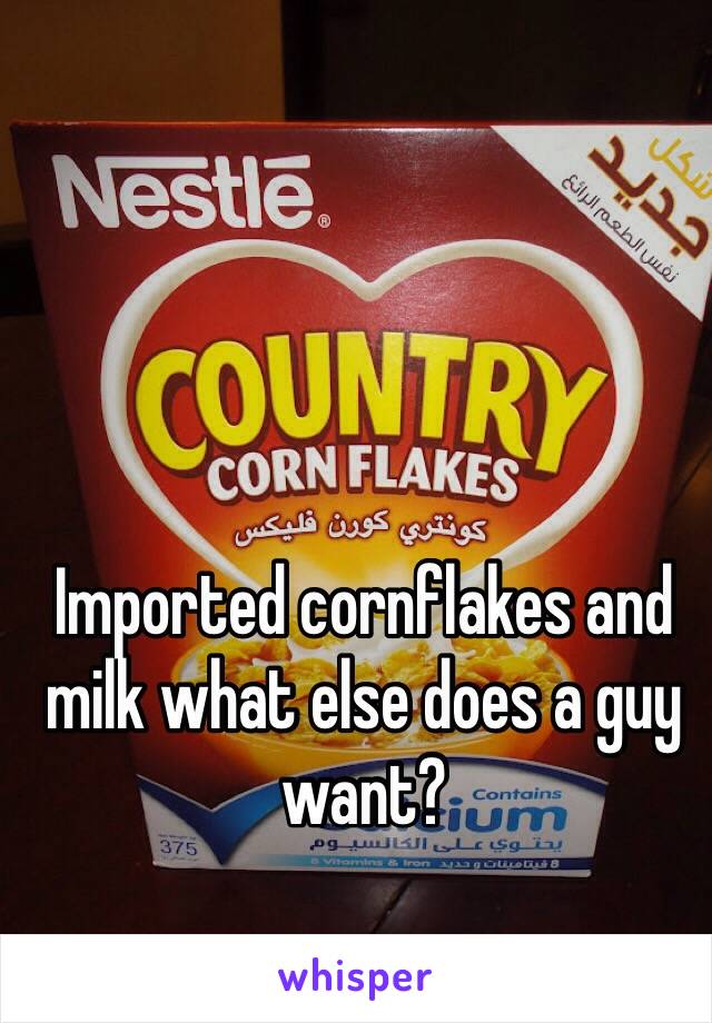 Imported cornflakes and milk what else does a guy want? 