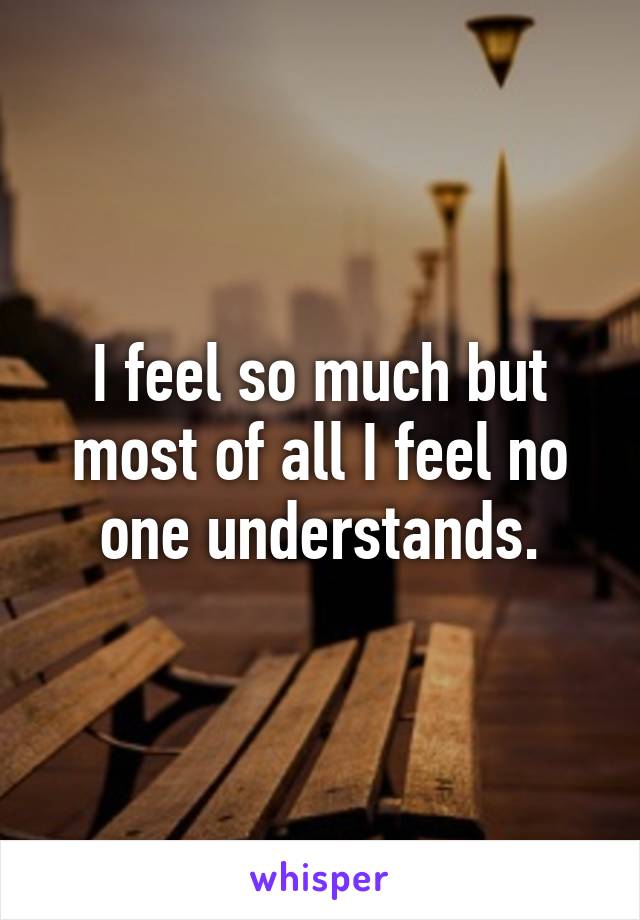 I feel so much but most of all I feel no one understands.