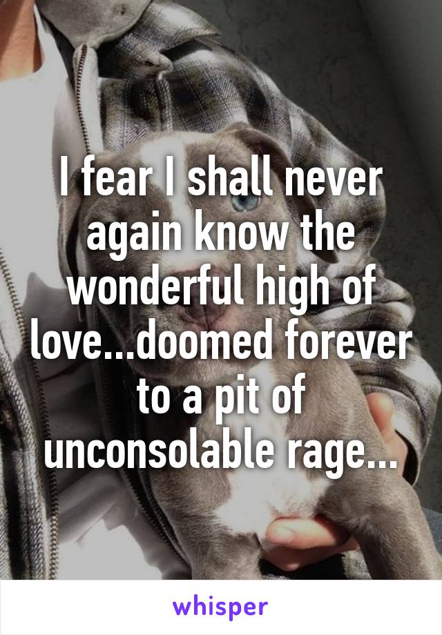 I fear I shall never again know the wonderful high of love...doomed forever to a pit of unconsolable rage...