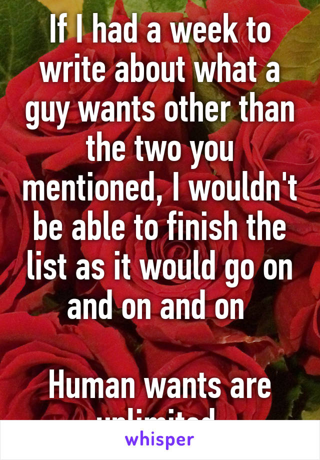 If I had a week to write about what a guy wants other than the two you mentioned, I wouldn't be able to finish the list as it would go on and on and on 

Human wants are unlimited 