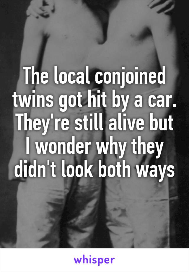 The local conjoined twins got hit by a car. They're still alive but I wonder why they didn't look both ways 