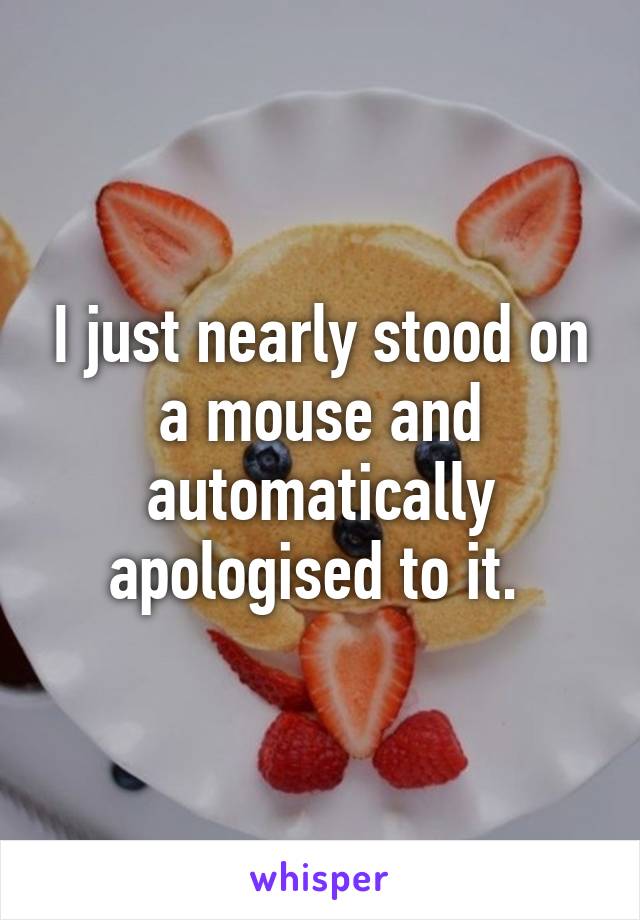 I just nearly stood on a mouse and automatically apologised to it. 