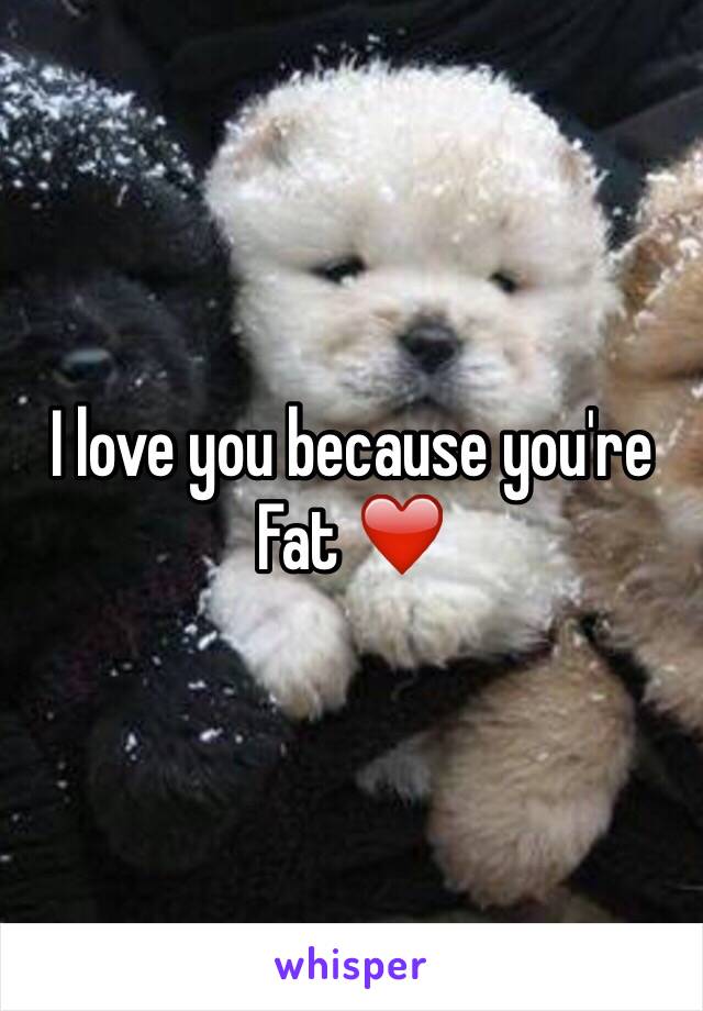 I love you because you're Fat ❤️