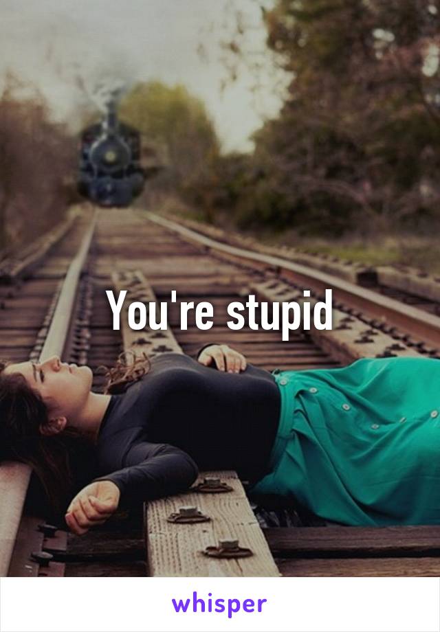 You're stupid